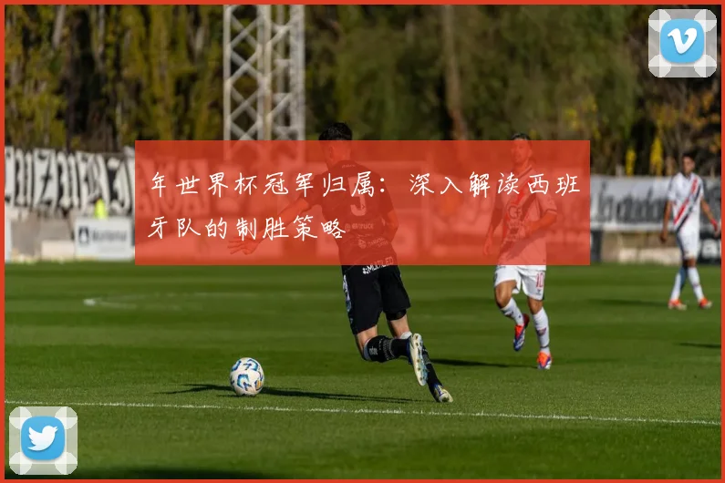 年世界杯冠军归属：深入解读西班牙队的制胜策略