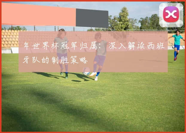 年世界杯冠军归属：深入解读西班牙队的制胜策略
