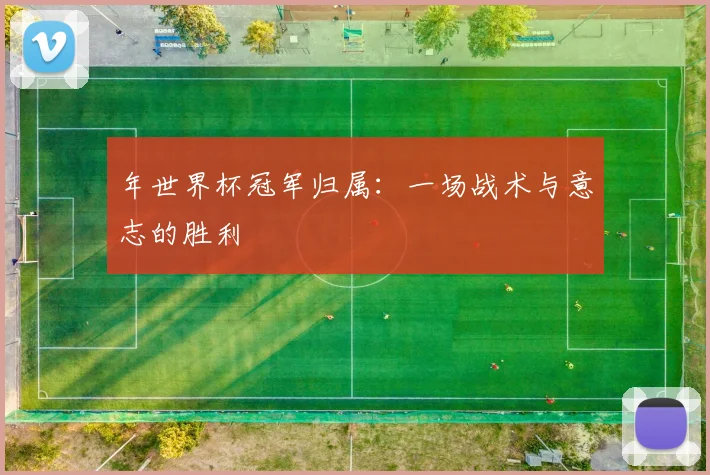 年世界杯冠军归属：一场战术与意志的胜利