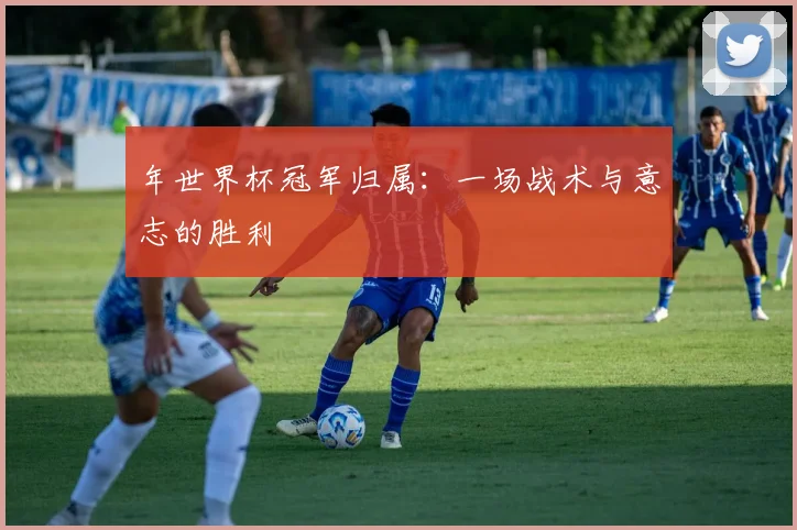 年世界杯冠军归属：一场战术与意志的胜利