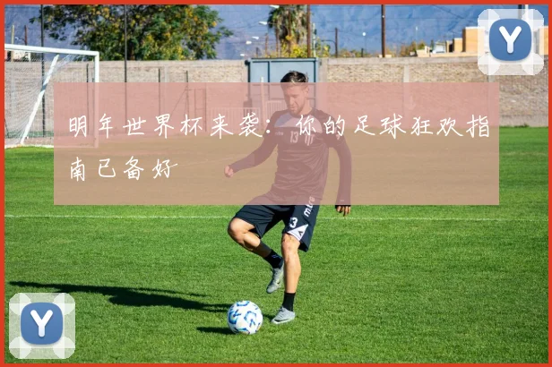 明年世界杯来袭:你的足球狂欢指南已备好