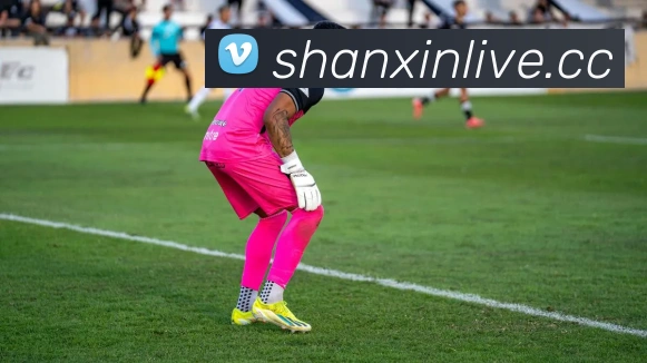 leyu乐鱼官方版发展历程